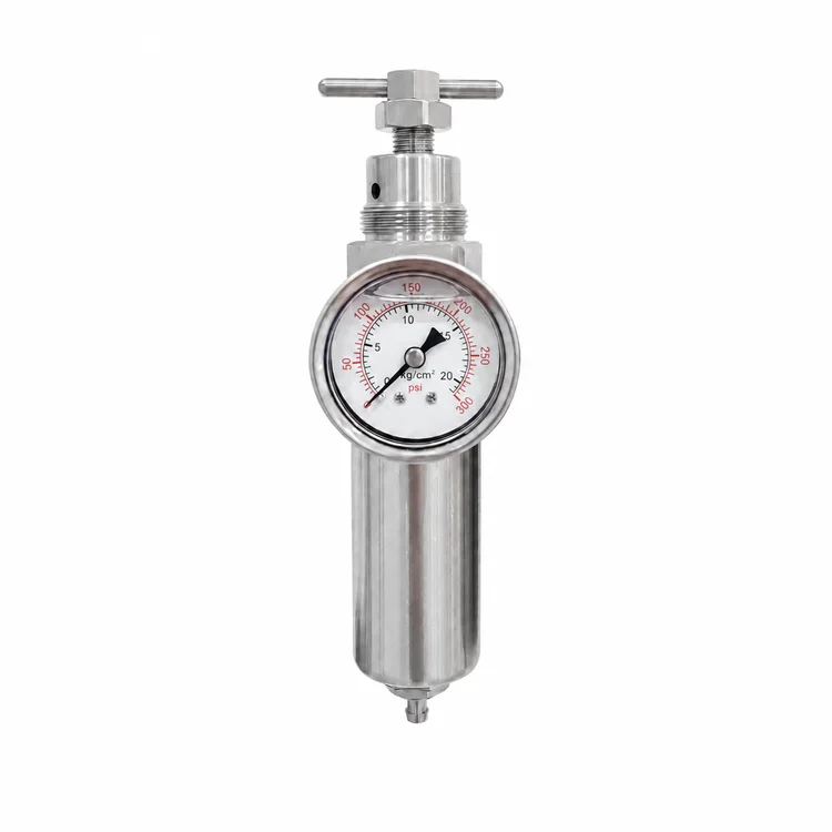 Filtro Regulador Total Inox